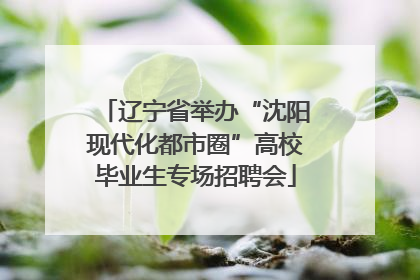 辽宁省举办“沈阳现代化都市圈”高校毕业生专场招聘会