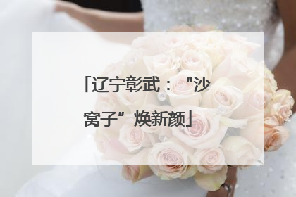 辽宁彰武：“沙窝子”焕新颜
