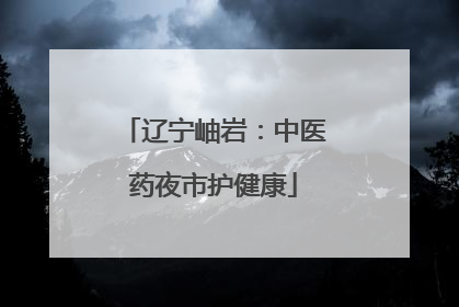 辽宁岫岩：中医药夜市护健康