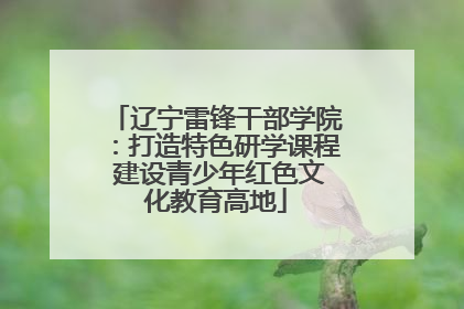 辽宁雷锋干部学院：打造特色研学课程 建设青少年红色文化教育高地