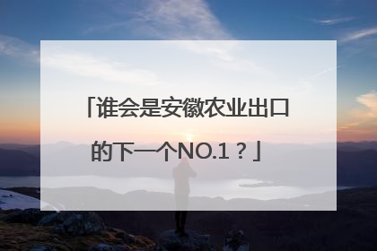 谁会是安徽农业出口的下一个NO.1？