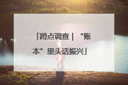 蹲点调查｜“账本”里头话振兴