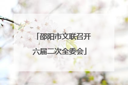 邵阳市文联召开六届二次全委会
