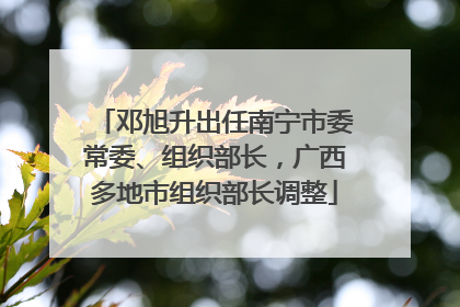 邓旭升出任南宁市委常委、组织部长，广西多地市组织部长调整