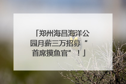 郑州海昌海洋公园月薪三万招募“首席摸鱼官”！