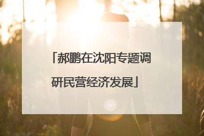 郝鹏在沈阳专题调研民营经济发展
