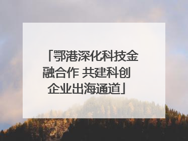 鄂港深化科技金融合作 共建科创企业出海通道