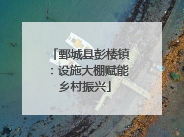 鄄城县彭楼镇：设施大棚赋能乡村振兴