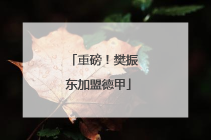 重磅！樊振东加盟德甲
