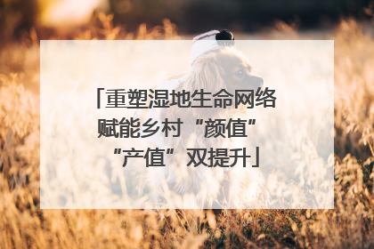 重塑湿地生命网络 赋能乡村“颜值”“产值”双提升