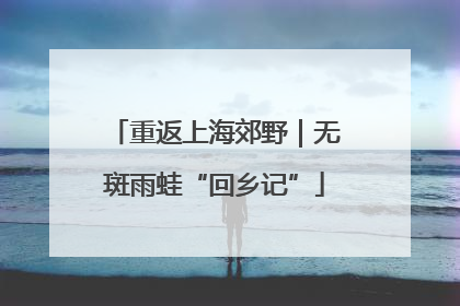 重返上海郊野｜无斑雨蛙“回乡记”