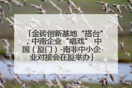 金砖创新基地“搭台”，中南企业“唱戏” 中国（厦门）-南非中小企业对接会在厦举办