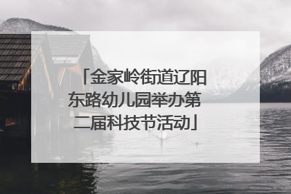 金家岭街道辽阳东路幼儿园举办第二届科技节活动
