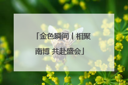 金色瞬间丨相聚南博 共赴盛会