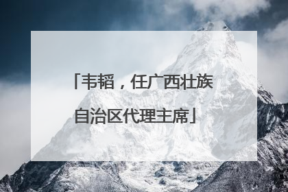 韦韬，任广西壮族自治区代理主席