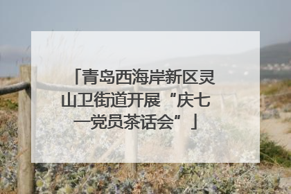 青岛西海岸新区灵山卫街道开展“庆七一党员茶话会”