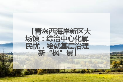 青岛西海岸新区大场镇：综治中心化解民忧，绘就基层治理新“枫”景