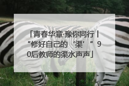 青春华章·豫你同行丨“修好自己的‘渠’”90后教师的渠水声声