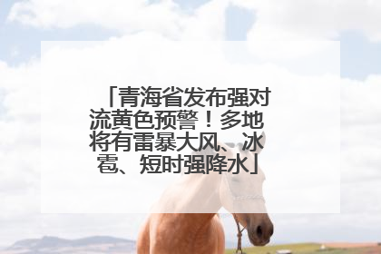 青海省发布强对流黄色预警！多地将有雷暴大风、冰雹、短时强降水