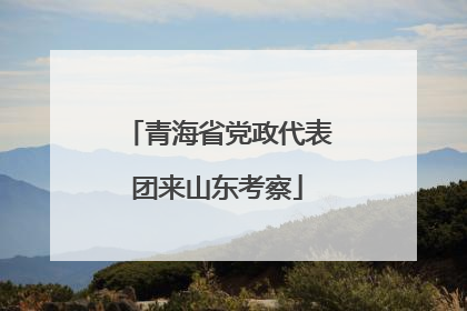 青海省党政代表团来山东考察