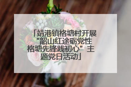 靖港镇格塘村开展“韶山红途砺党性 格塘先锋践初心”主题党日活动