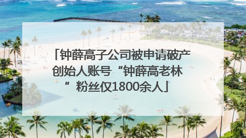 钟薛高子公司被申请破产 创始人账号“钟薛高老林”粉丝仅1800余人