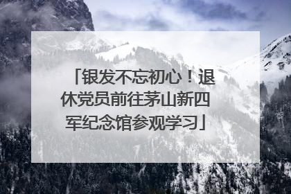 银发不忘初心！退休党员前往茅山新四军纪念馆参观学习