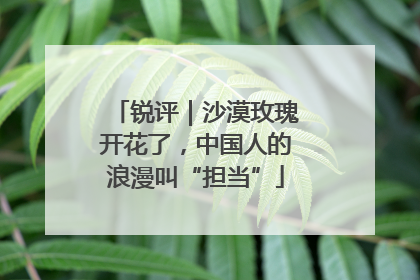 锐评｜沙漠玫瑰开花了，中国人的浪漫叫“担当”