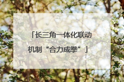 长三角一体化联动机制“合力成拳”