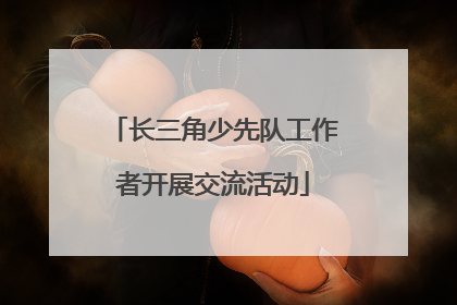 长三角少先队工作者开展交流活动