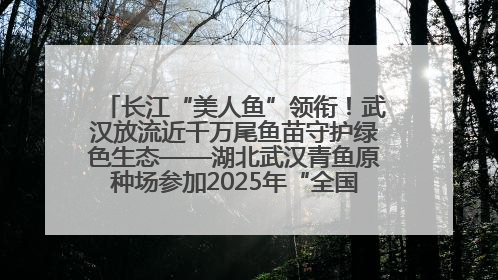 长江“美人鱼”领衔！武汉放流近千万尾鱼苗守护绿色生态——湖北武汉青鱼原种场参加2025年“全国放鱼日”增殖放流活动
