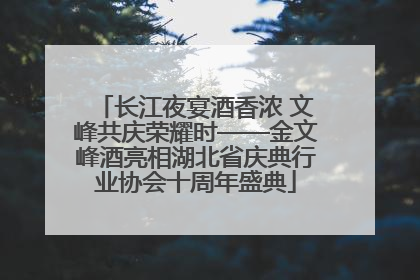 长江夜宴酒香浓 文峰共庆荣耀时——金文峰酒亮相湖北省庆典行业协会十周年盛典
