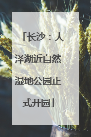 长沙：大泽湖近自然湿地公园正式开园