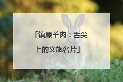 镇原羊肉：舌尖上的文旅名片