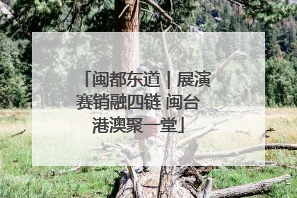 闽都东道｜展演赛销融四链 闽台港澳聚一堂