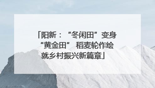 阳新：“冬闲田”变身“黄金田” 稻麦轮作绘就乡村振兴新篇章