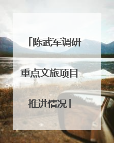 陈武军调研重点文旅项目推进情况