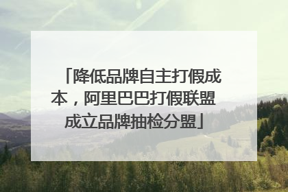 降低品牌自主打假成本，阿里巴巴打假联盟成立品牌抽检分盟