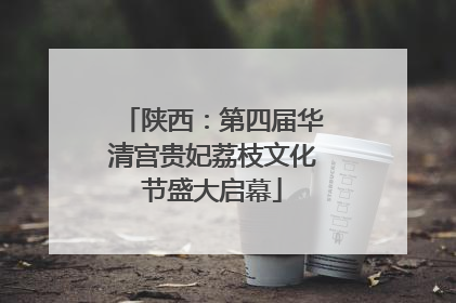 陕西：第四届华清宫贵妃荔枝文化节盛大启幕