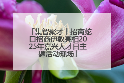 集智聚才丨招商蛇口招商伊敦亮相2025年嘉兴人才日主题活动现场