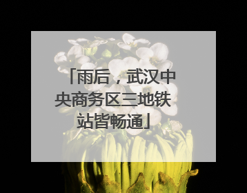雨后，武汉中央商务区三地铁站皆畅通