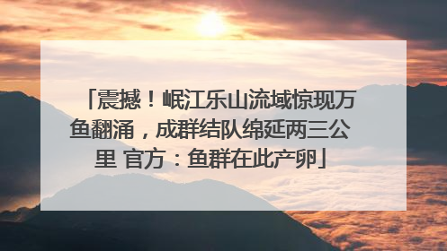震撼！岷江乐山流域惊现万鱼翻涌，成群结队绵延两三公里 官方：鱼群在此产卵