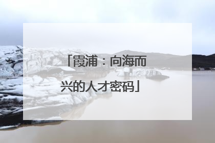 霞浦：向海而兴的人才密码