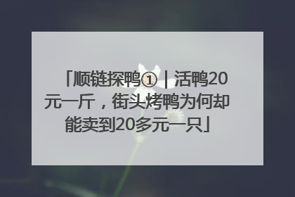 顺链探鸭①｜活鸭20元一斤，街头烤鸭为何却能卖到20多元一只
