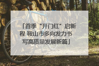 首季“开门红”启新程 鞍山市多向发力书写高质量发展新篇