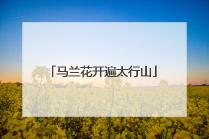 马兰花开遍太行山