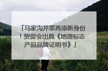 马家沟芹菜再添新身份！贸促会出具《地理标志产品品牌证明书》