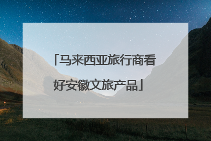马来西亚旅行商看好安徽文旅产品