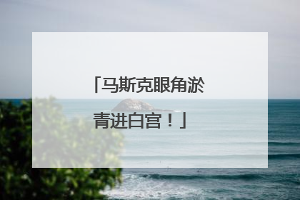 马斯克眼角淤青进白宫！