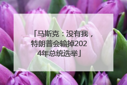 马斯克：没有我，特朗普会输掉2024年总统选举